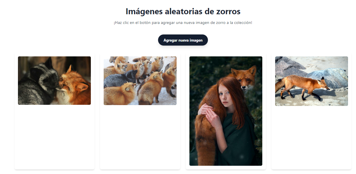 React.js con TypeScript y Next.js